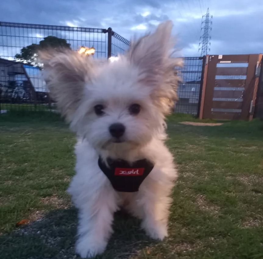 Screenshot_20250724-105151